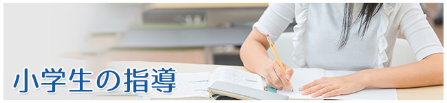 小学校の指導内容